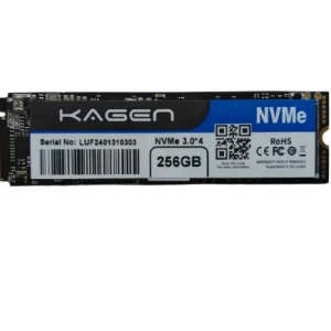 NVME SSD 256 GB Kagen
