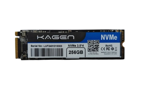 NVME SSD 256 GB Kagen
