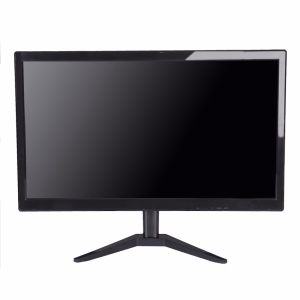 Micro DS-19 LED Monitor