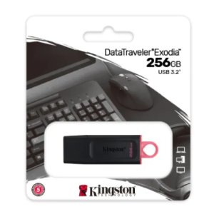 Pen Drive 3.2 256 GB Kingston